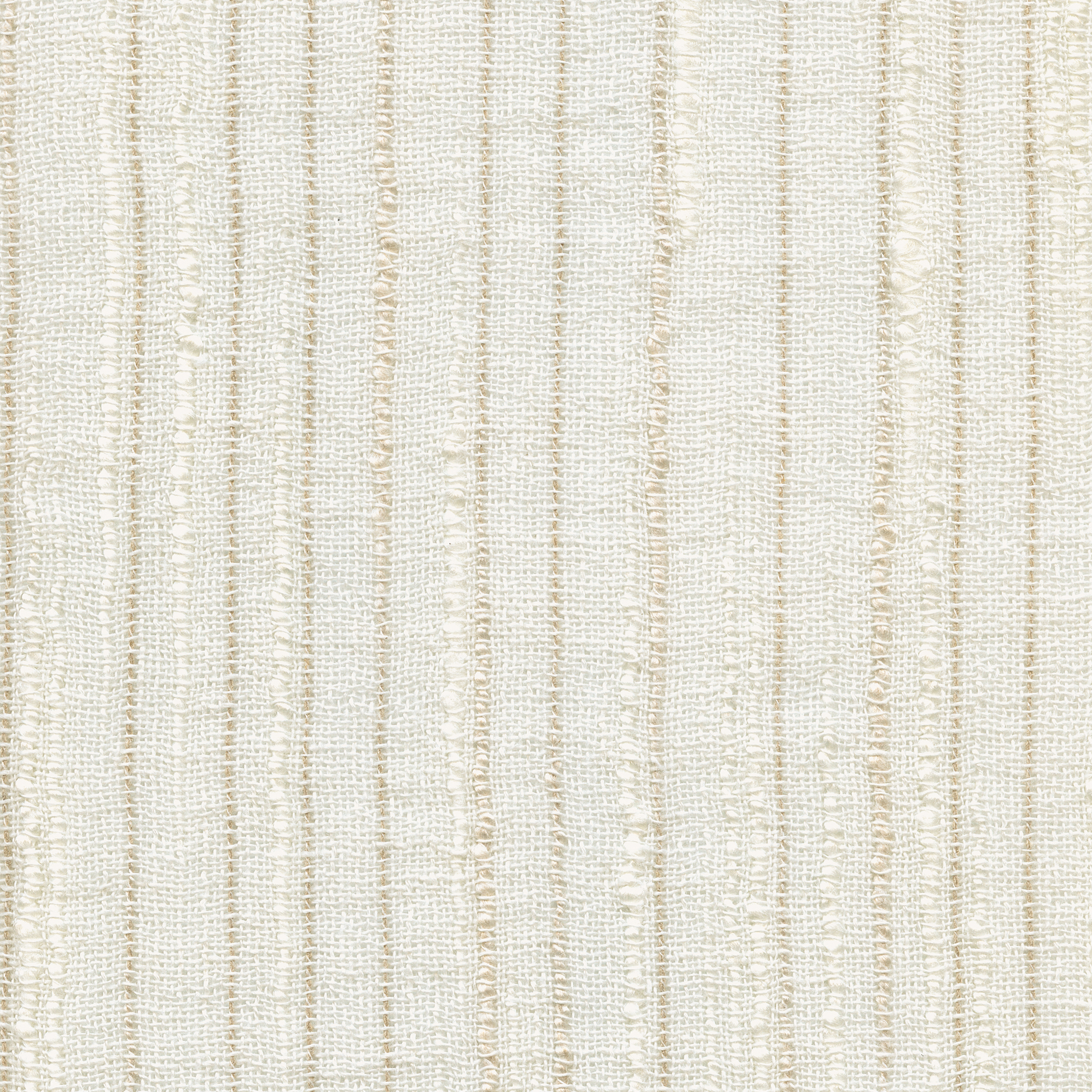 pomo-yp24002-designs-of-the-time